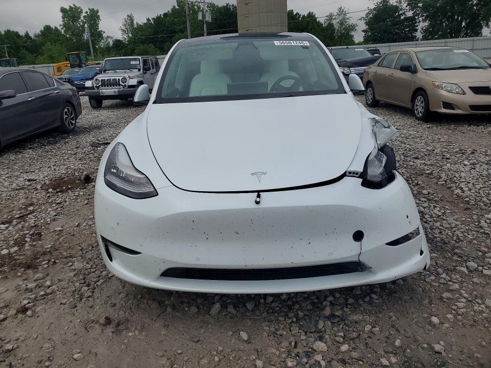 Продажа на аукционе авто 2021 Tesla Model Y, vin: 5YJYGDEE7MF190087, номер лота: 56501246