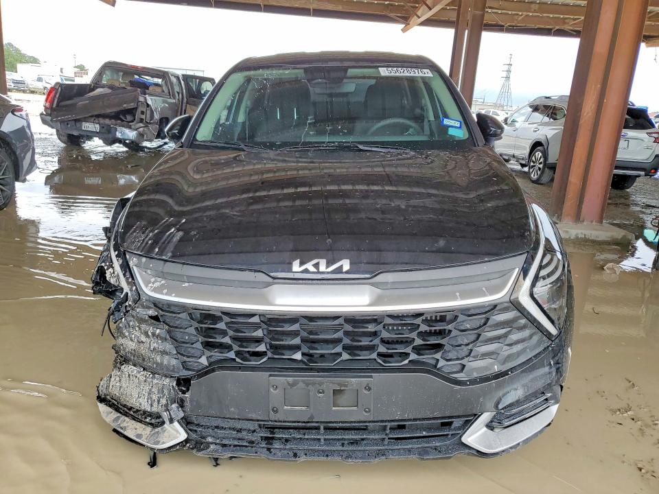 55628976 :رقم المزاد ، KNDPU3DG6S7191347 vin ، 2025 Kia Sportage مزاد بيع