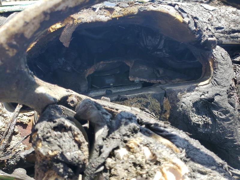 Aukcja sprzedaży 2000 Mercedes-benz E, vin: WDBJH65J2YB117580, numer aukcji: 56521766