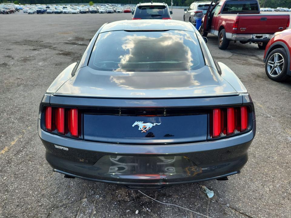 Продаж на аукціоні авто 2017 Ford Mustang, vin: 1FA6P8TH2H5345766, номер лоту: 77247715