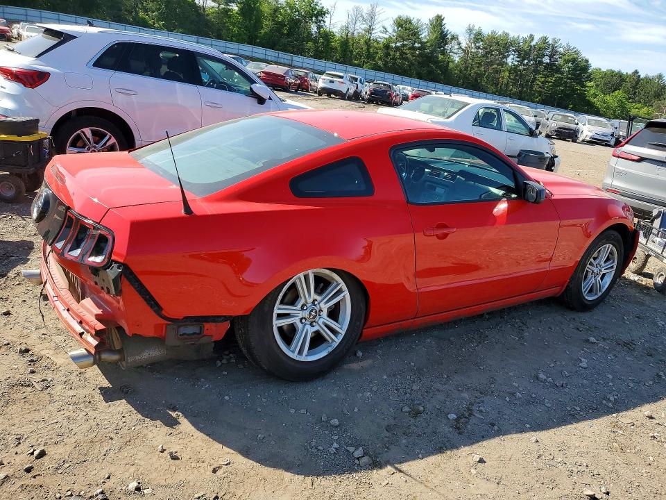 Продаж на аукціоні авто 2014 Ford Mustang, vin: 1ZVBP8AMXE5249496, номер лоту: 55429016