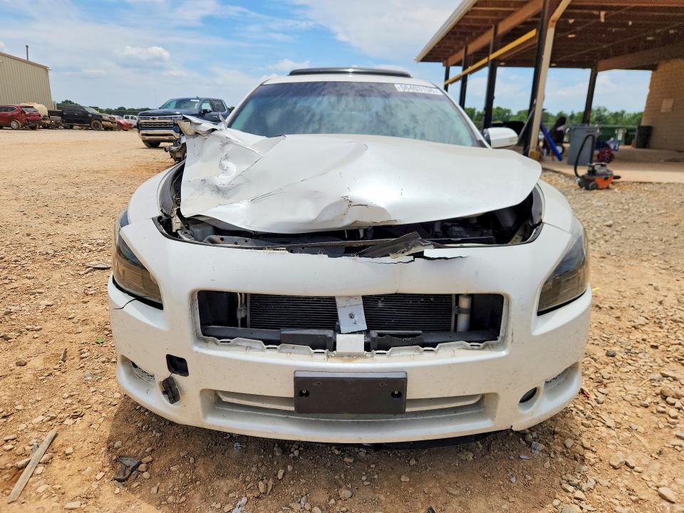 56403136 :رقم المزاد ، 1N4AA5AP3DC828418 vin ، 2013 Nissan Maxima مزاد بيع