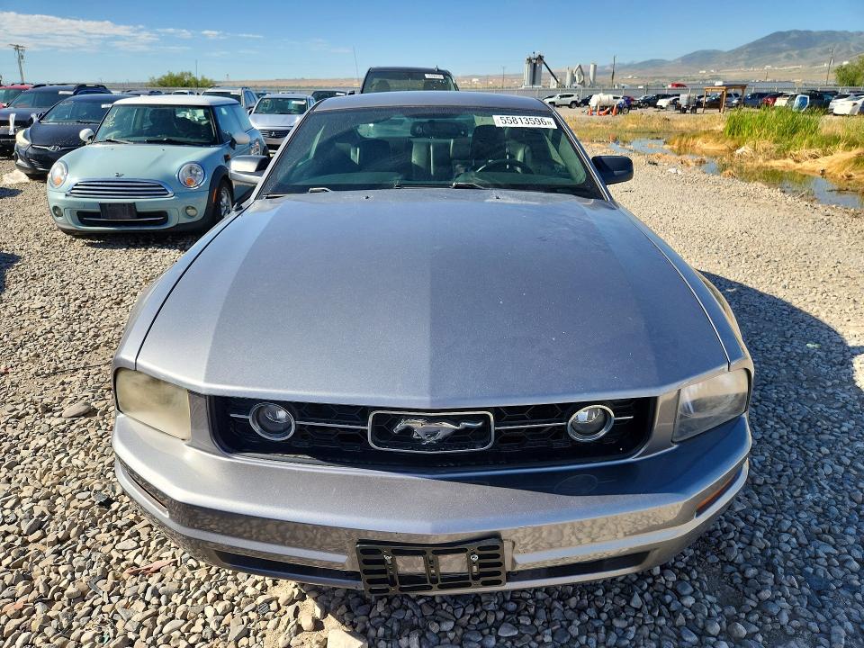 2007 Ford Mustang მანქანა იყიდება აუქციონზე, vin: 1ZVHT80N375250492, აუქციონის ნომერი: 55813596