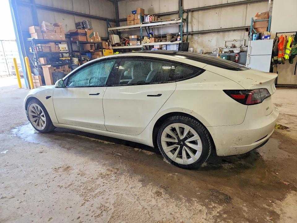 Продажа на аукционе авто 2022 Tesla Model 3, vin: 5YJ3E1EB2NF195297, номер лота: 55129116