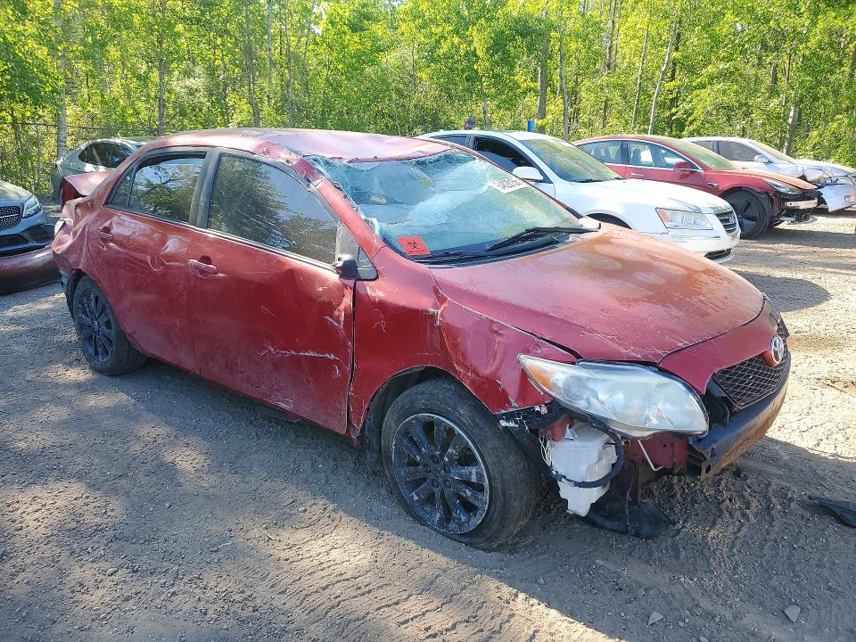 54828156 :رقم المزاد ، 2T1BU40E69C084053 vin ، 2009 Toyota Corolla مزاد بيع