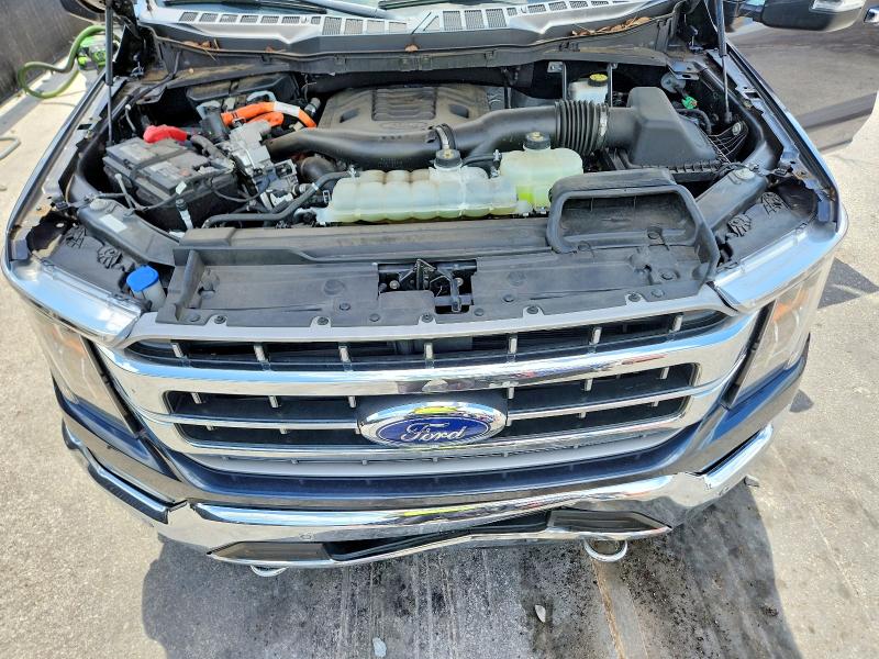 Продаж на аукціоні авто 2021 Ford F150, vin: 1FTFW1EDXMFA98631, номер лоту: 57305586
