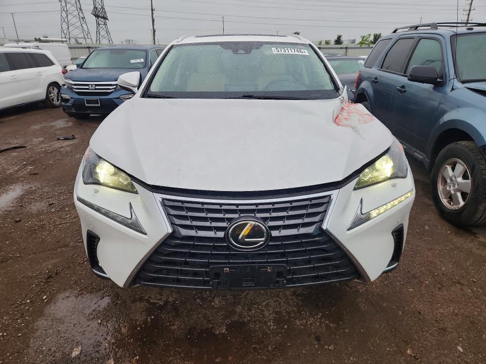 2021 Lexus Nx 300 მანქანა იყიდება აუქციონზე, vin: JTJDARDZ6M5031920, აუქციონის ნომერი: 57311746