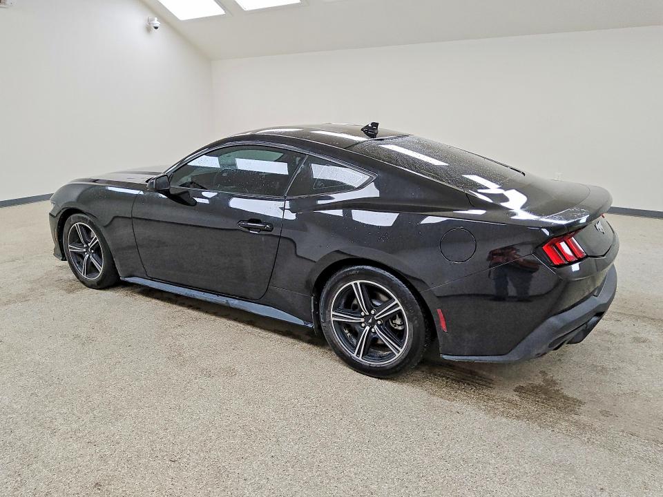 Продаж на аукціоні авто 2024 Ford Mustang, vin: 1FA6P8TH3R5122024, номер лоту: 53474396