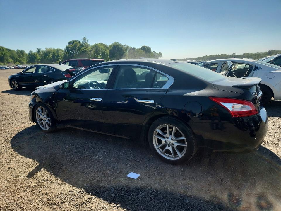 55649666 :رقم المزاد ، 1N4AA5AP2AC853323 vin ، 2010 Nissan Maxima مزاد بيع