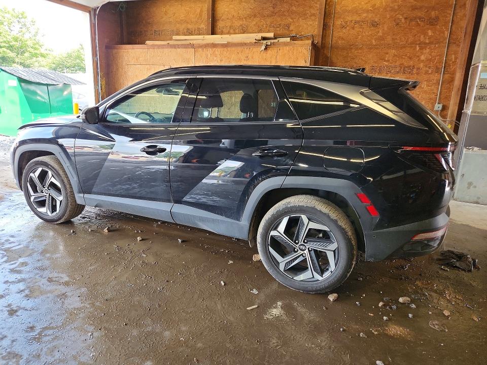 Продаж на аукціоні авто 2023 Hyundai Tucson, vin: 5NMJECAE8PH243129, номер лоту: 59127536