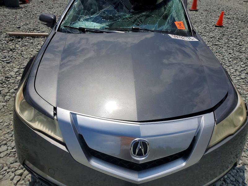 Auction sale of the 2009 Acura Tl, vin: 19UUA865X9A008096, lot number: 59192176