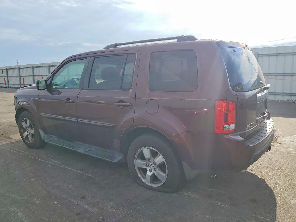 Продаж на аукціоні авто 2010 Honda Pilot, vin: 5FNYF4H60AB007843, номер лоту: 56443566