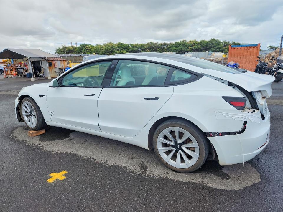 55586016 :رقم المزاد ، 5YJ3E1EA6PF471586 vin ، 2023 Tesla Model 3 مزاد بيع