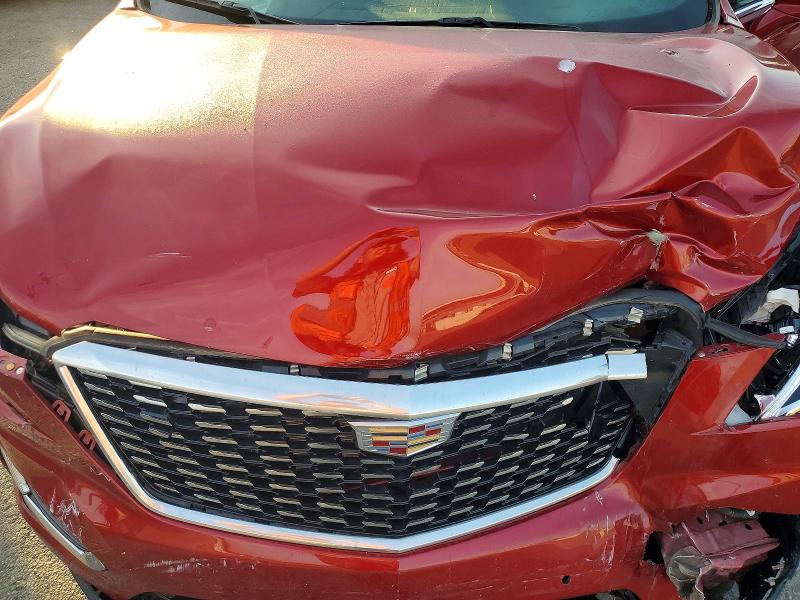 Продажа на аукционе авто 2021 Cadillac Xt5, vin: 1GYKNDRS9MZ108120, номер лота: 56197186