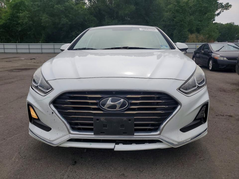 Продаж на аукціоні авто 2019 Hyundai Sonata, vin: 5NPE24AF0KH802225, номер лоту: 59065266