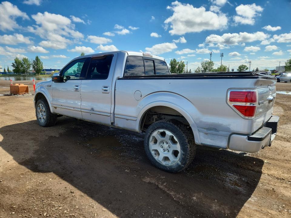56102886 :رقم المزاد ، 1FTFW1EF8BFC54096 vin ، 2011 Ford F150 مزاد بيع