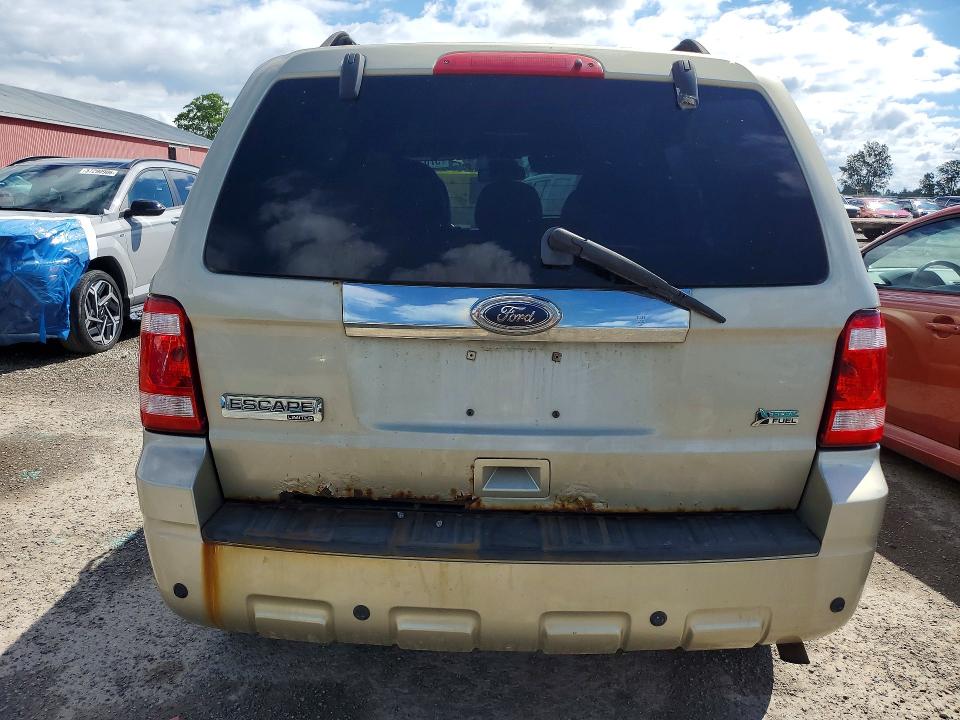 57019466 :رقم المزاد ، 1FMCU9EG0AKC85991 vin ، 2010 Ford Escape مزاد بيع