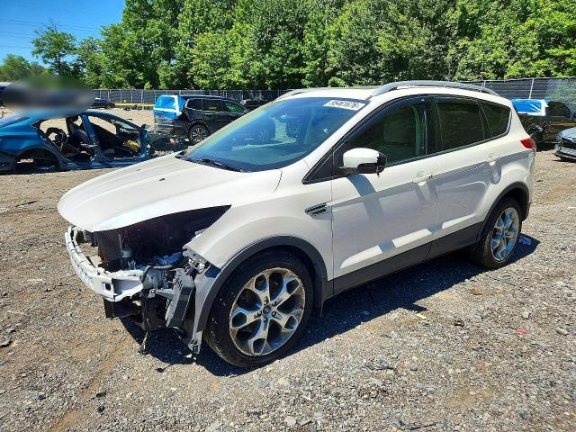 Auction sale of the 2014 Ford Escape, vin: 1FMCU9J94EUA58773, lot number: 55461676