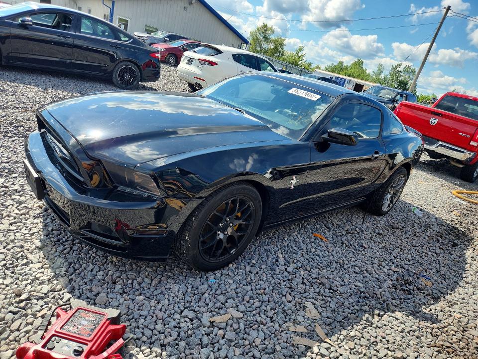 Продажа на аукционе авто 2014 Ford Mustang, vin: 1ZVBP8AM8E5333980, номер лота: 58313806