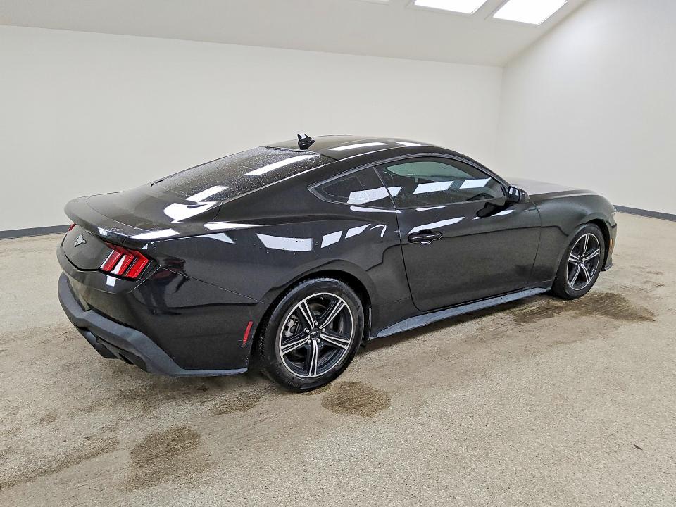 Продаж на аукціоні авто 2024 Ford Mustang, vin: 1FA6P8TH3R5122024, номер лоту: 53474396