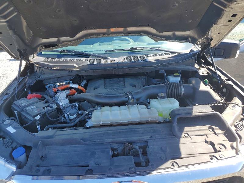 48834226 :رقم المزاد ، 1FTFW1ED7MFB79568 vin ، 2021 Ford F150 مزاد بيع