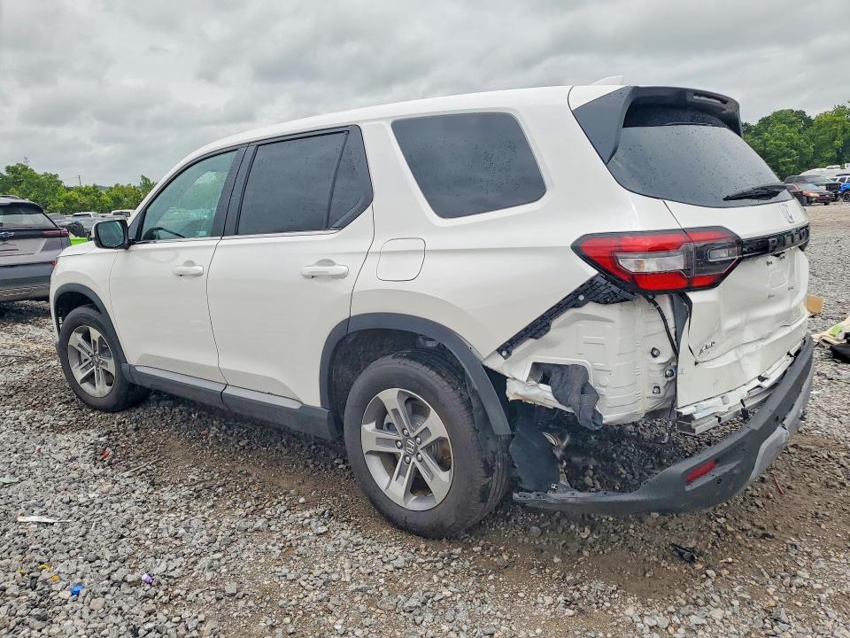 Продажа на аукционе авто 2025 Honda Pilot, vin: 5FNYG1H47SB162076, номер лота: 56154006