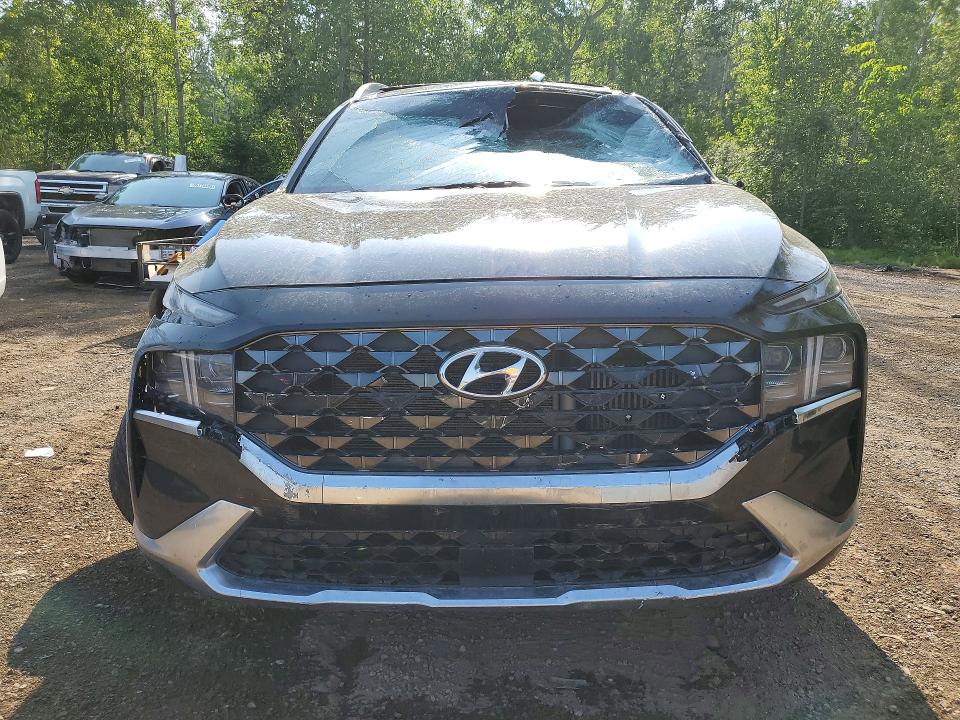 Продаж на аукціоні авто 2023 Hyundai Santa Fe, vin: 5NMS5DAL0PH490525, номер лоту: 58564056