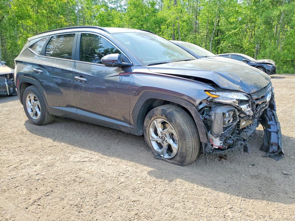 Продажа на аукционе авто 2024 Hyundai Tucson, vin: KM8JBCDE6RU306501, номер лота: 56240536