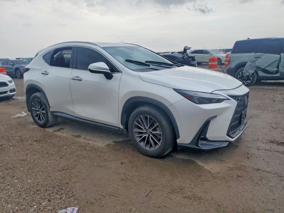 58182266 :رقم المزاد ، 2T2GDCAZ4RC014130 vin ، 2024 Lexus Nx مزاد بيع