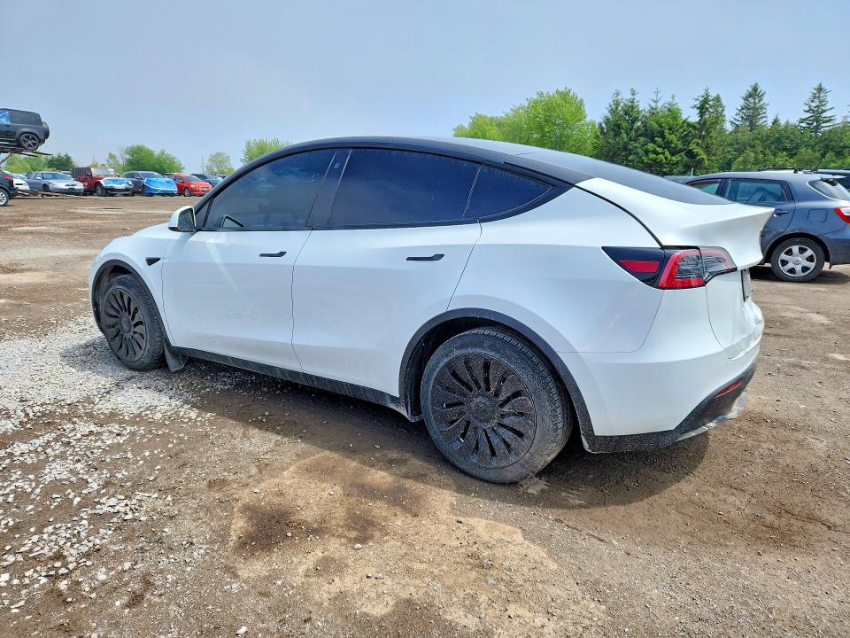 Продаж на аукціоні авто 2023 Tesla Model Y, vin: LRWYGDFDXPC901706, номер лоту: 56420876