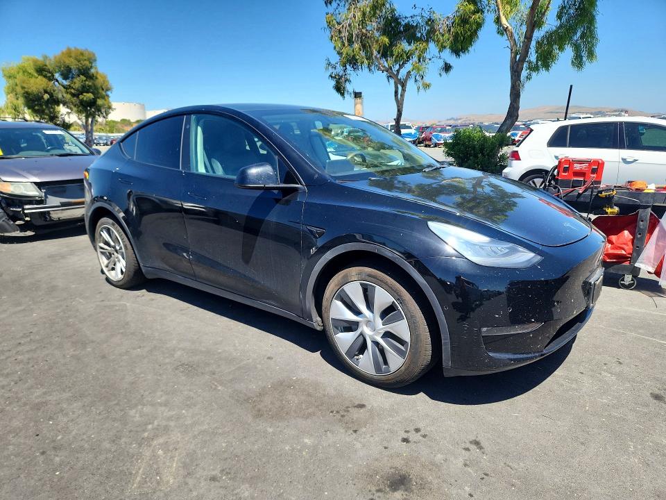 55674156 :رقم المزاد ، 5YJYGDEE3MF196078 vin ، 2021 Tesla Model Y مزاد بيع