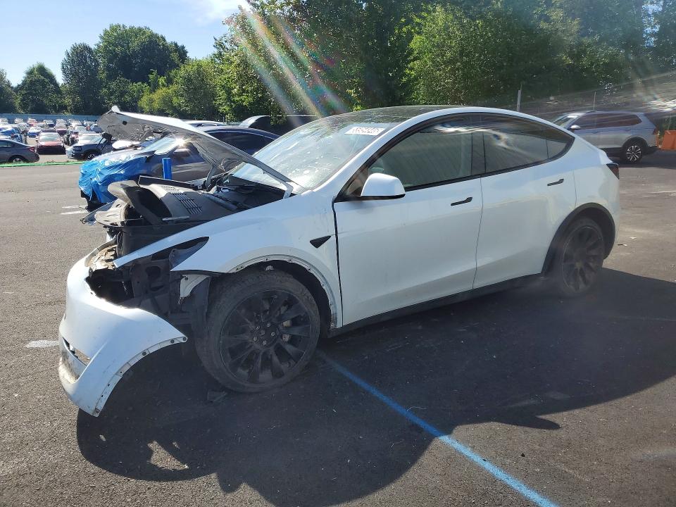 Продаж на аукціоні авто 2023 Tesla Model Y, vin: 7SAYGDEEXPF637972, номер лоту: 55954846