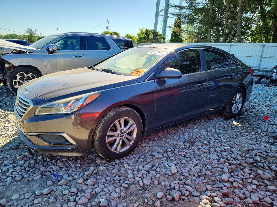 Продаж на аукціоні авто 2016 Hyundai Sonata, vin: 5NPE24AF3GH336216, номер лоту: 56179156