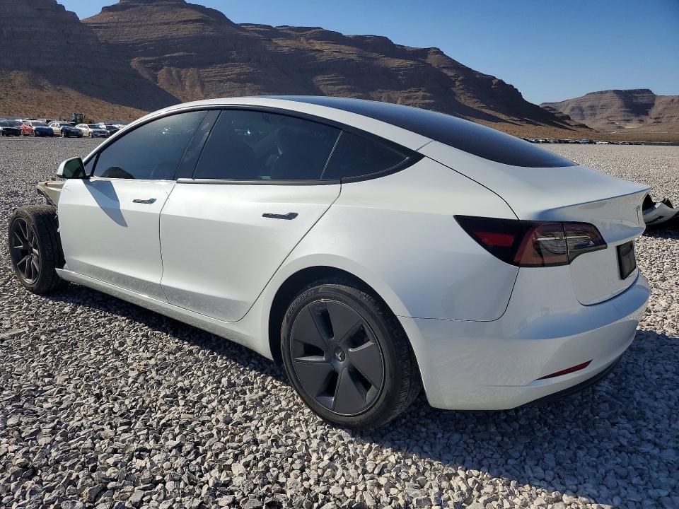 Продаж на аукціоні авто 2023 Tesla Model 3, vin: 5YJ3E1EA7PF590070, номер лоту: 55631136