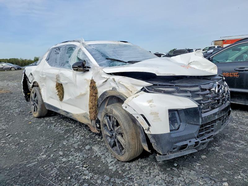 2024 Hyundai Santa Cruz მანქანა იყიდება აუქციონზე, vin: 5NTJEDDF0RH102900, აუქციონის ნომერი: 54504056