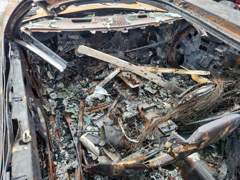 Продажа на аукционе авто 1979 Pontiac Firebird, vin: 2W87K9L186984, номер лота: 56430546