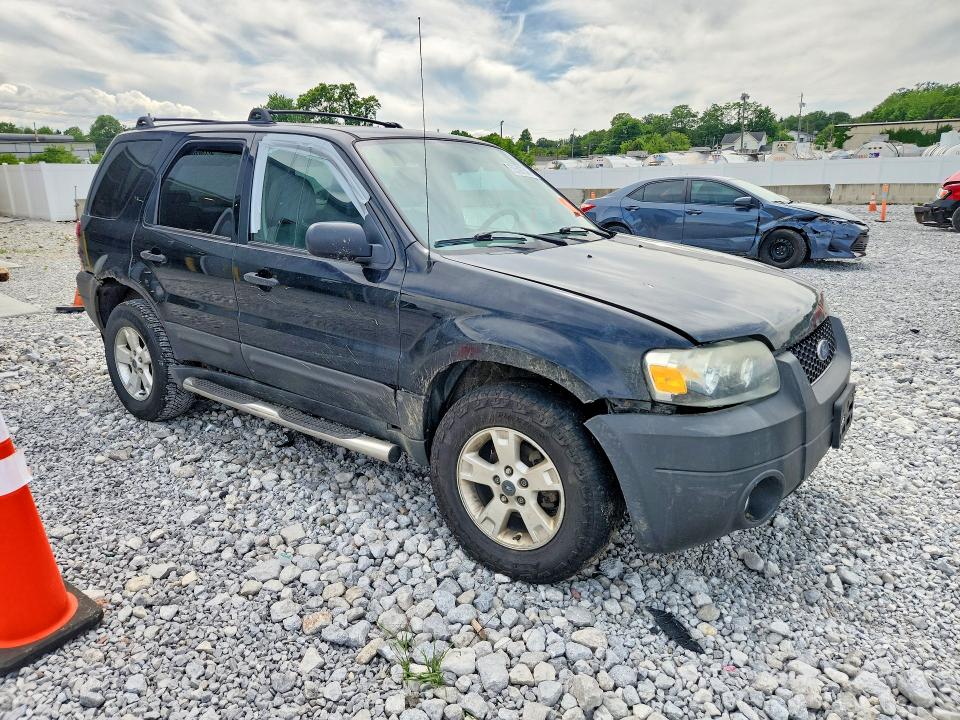 55597546 :رقم المزاد ، 1FMYU03187KB17332 vin ، 2007 Ford Escape مزاد بيع