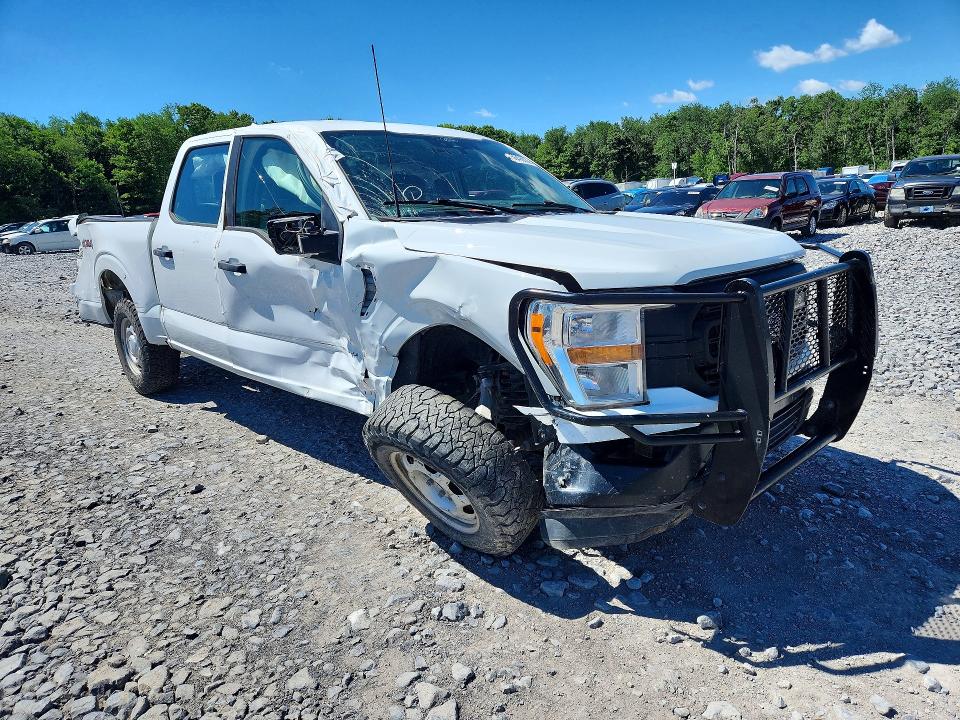 2021 Ford F150 მანქანა იყიდება აუქციონზე, vin: 1FTEW1EB6MFB80639, აუქციონის ნომერი: 56496036