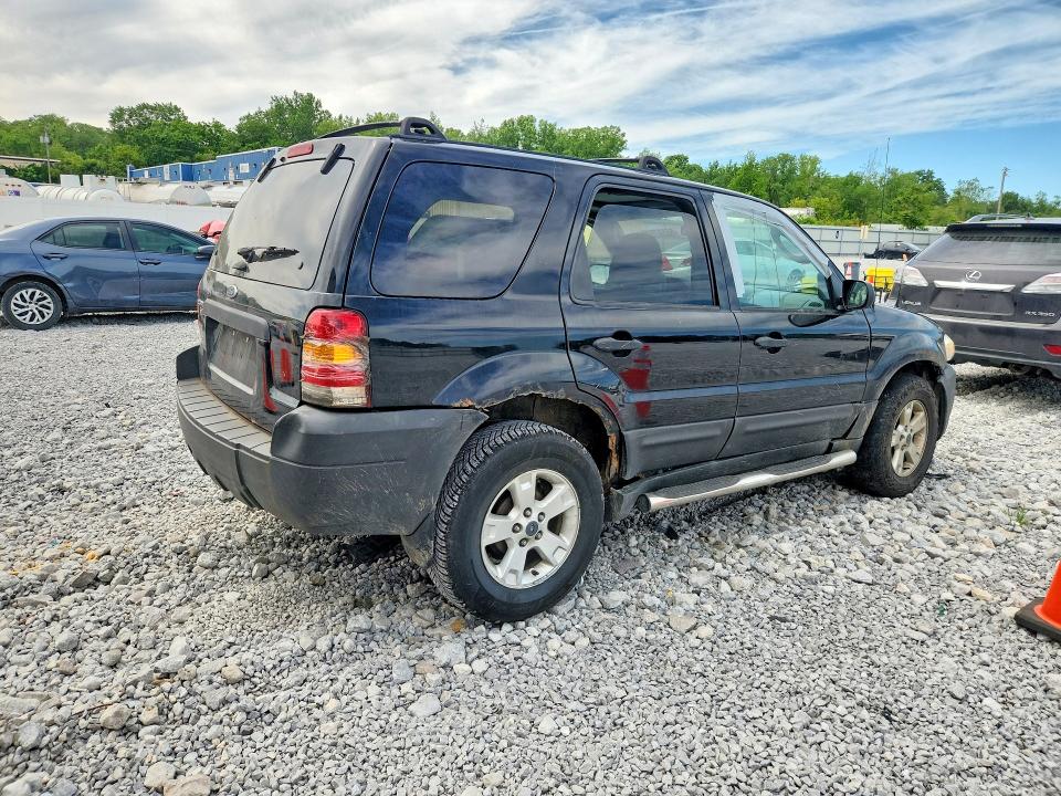 55597546 :رقم المزاد ، 1FMYU03187KB17332 vin ، 2007 Ford Escape مزاد بيع
