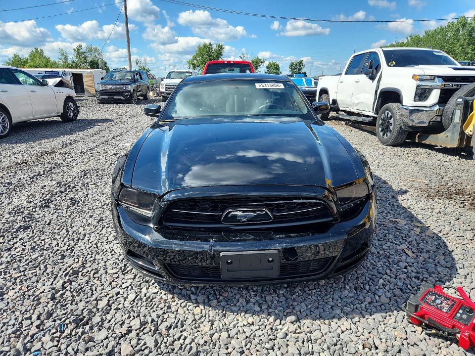 Продажа на аукционе авто 2014 Ford Mustang, vin: 1ZVBP8AM8E5333980, номер лота: 58313806