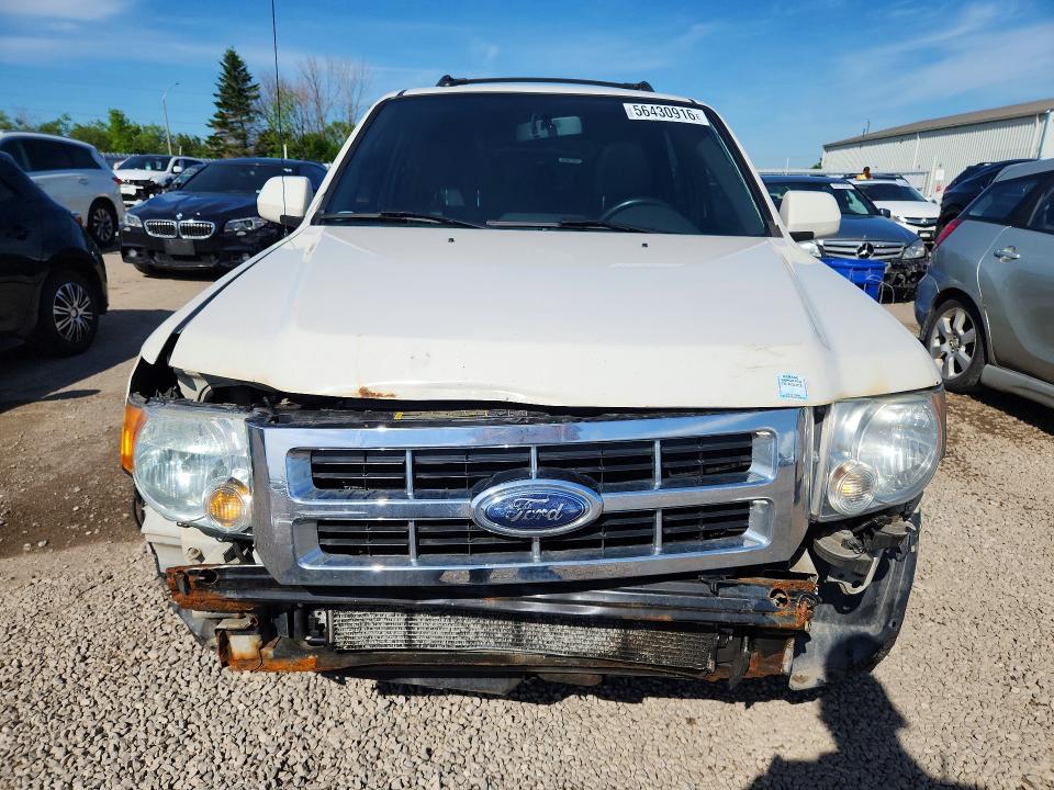 2009 Ford Escape მანქანა იყიდება აუქციონზე, vin: 1FMCU94G19KC95880, აუქციონის ნომერი: 56430916