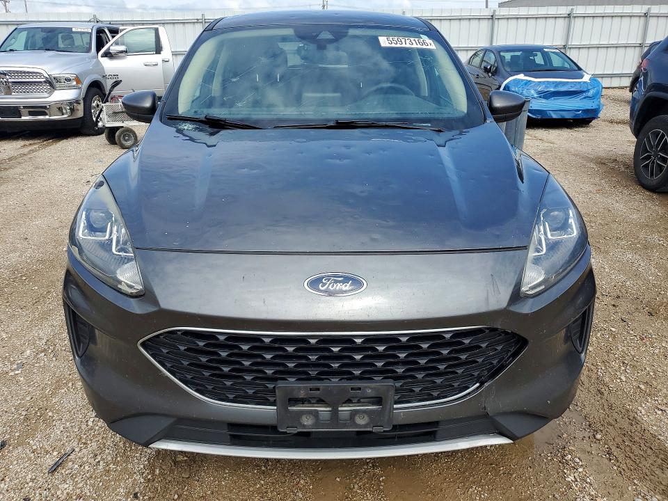 55973166 :رقم المزاد ، 1FMCU9G6XLUA81677 vin ، 2020 Ford Escape مزاد بيع