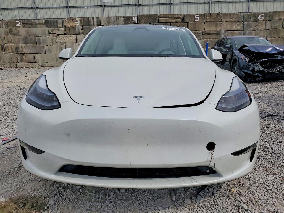Aukcja sprzedaży 2024 Tesla Model Y, vin: 7SAYGDEE1RF209324, numer aukcji: 56499626