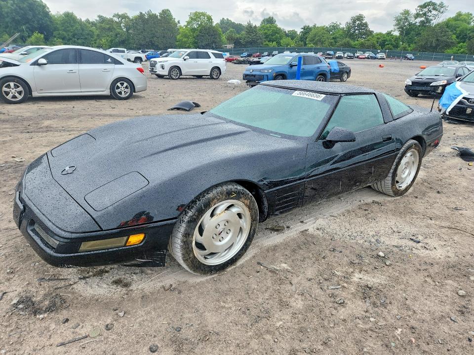 56646656 :رقم المزاد ، 1G1YY23P1P5103059 vin ، 1993 Chevrolet Corvette مزاد بيع