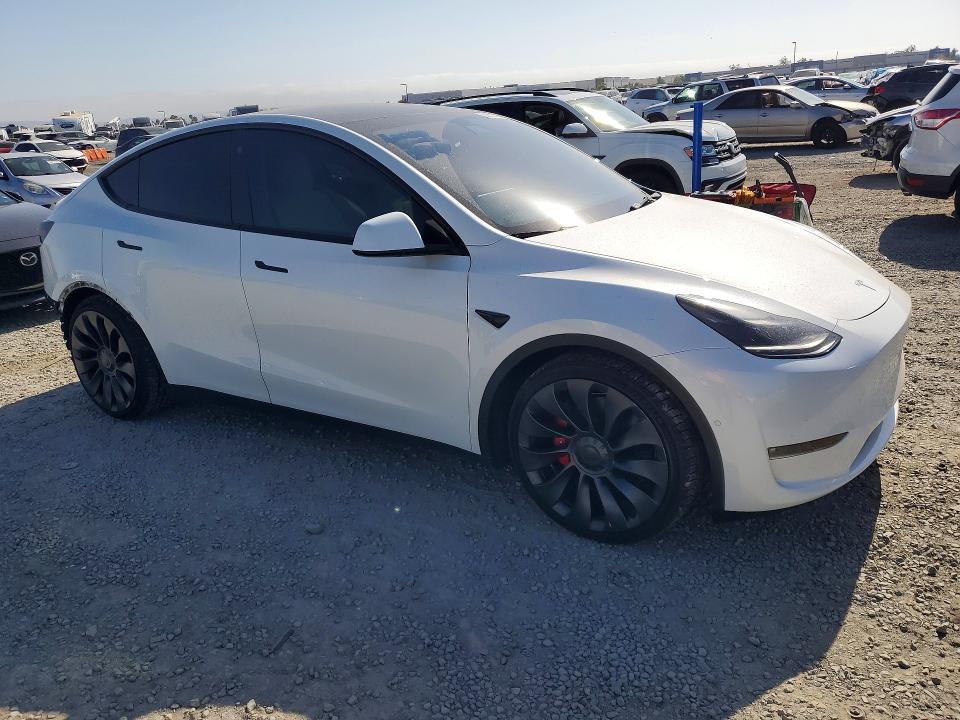 55653136 :رقم المزاد ، 5YJYGDEF1MF219995 vin ، 2021 Tesla Model Y مزاد بيع