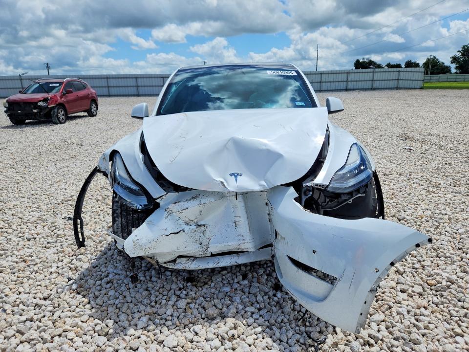 56846366 :رقم المزاد ، 5YJYGDEE8MF303982 vin ، 2021 Tesla Model Y مزاد بيع