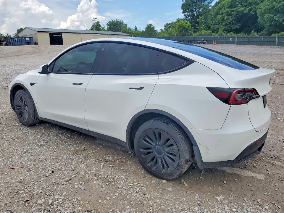 Продаж на аукціоні авто 2022 Tesla Model Y, vin: 7SAYGDEE0NF535884, номер лоту: 57246326