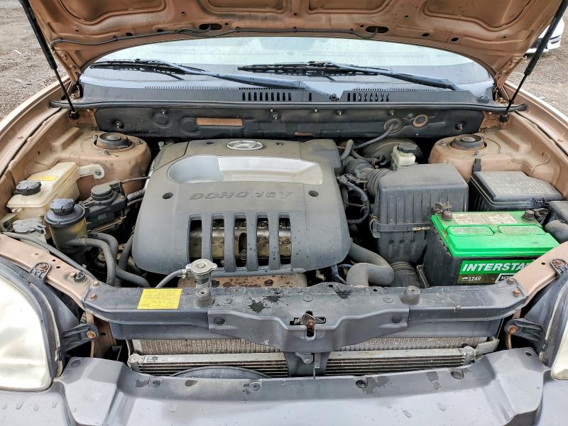 2004 Hyundai Santa Fe მანქანა იყიდება აუქციონზე, vin: KM8SB12B14U713197, აუქციონის ნომერი: 57945676