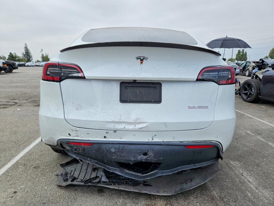 56430966 :رقم المزاد ، 5YJYGDEF2MF251709 vin ، 2021 Tesla Model Y مزاد بيع