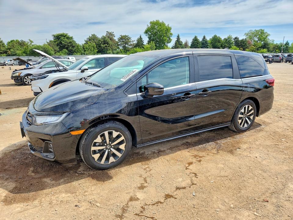 Продажа на аукционе авто 2026 Honda Odyssey, vin: 5FNRL6H64TB005797, номер лота: 55599336